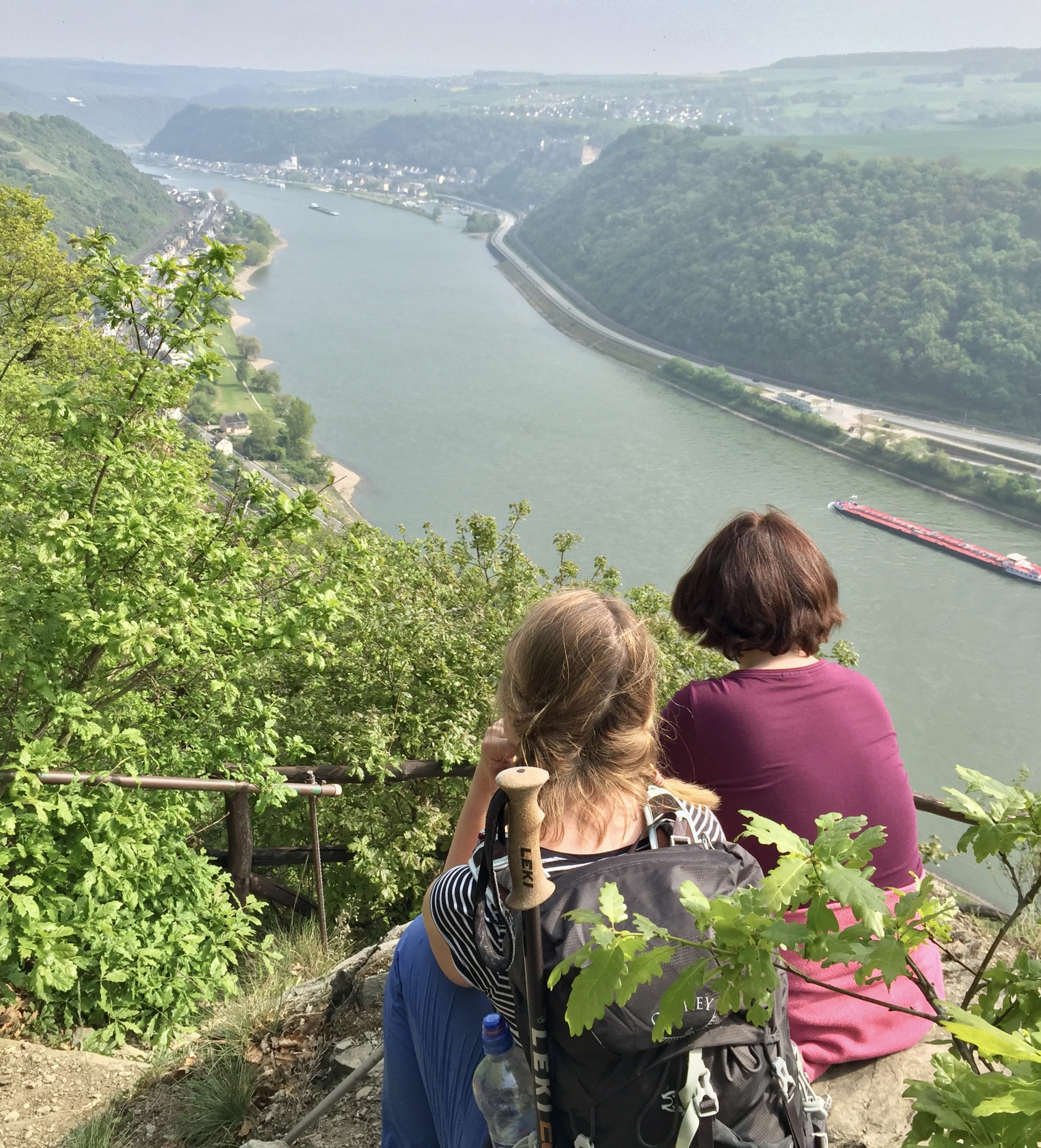 Ein wunderschöner Blick von der Burg Liebenstein auf das Rheintal
